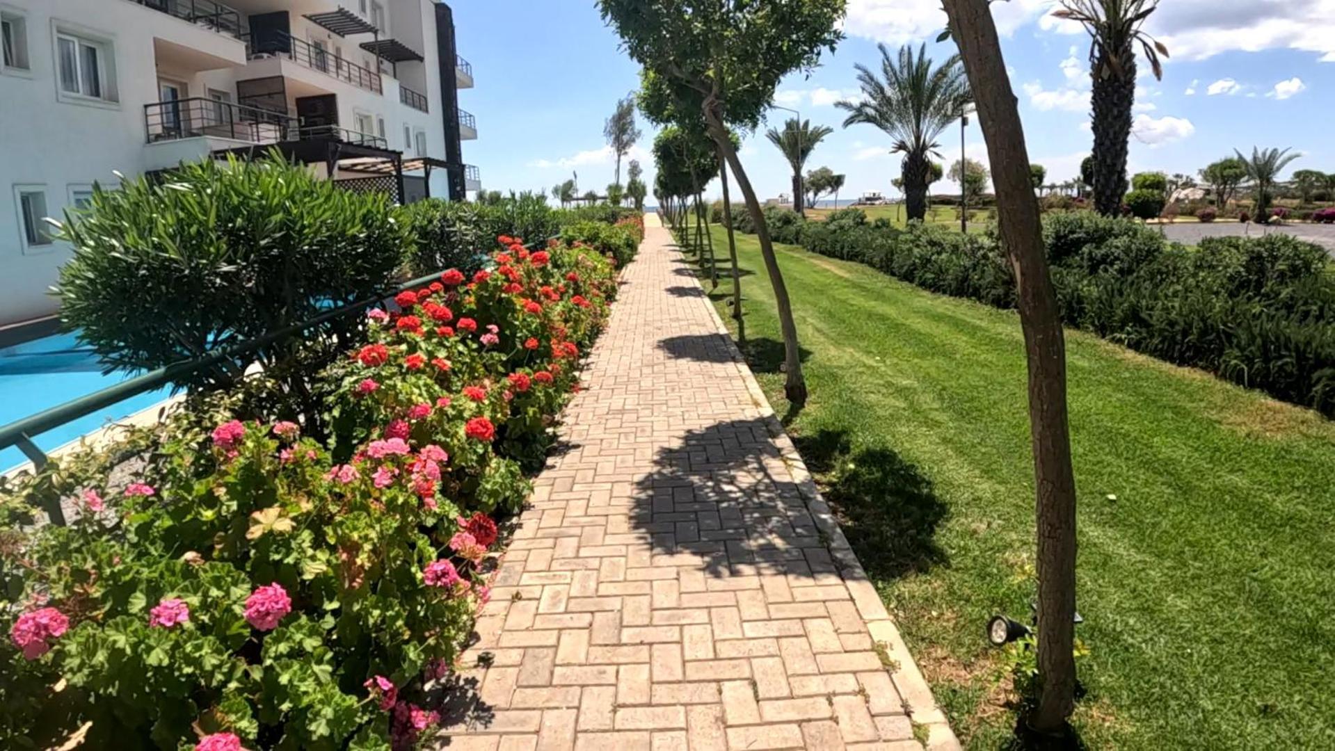 Great Seaview Appartments In Thalassa Vokolidha Exterior photo